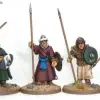 Photo of Andalusian Spearmen (MED020)